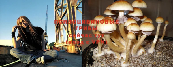 apvp Дмитровск